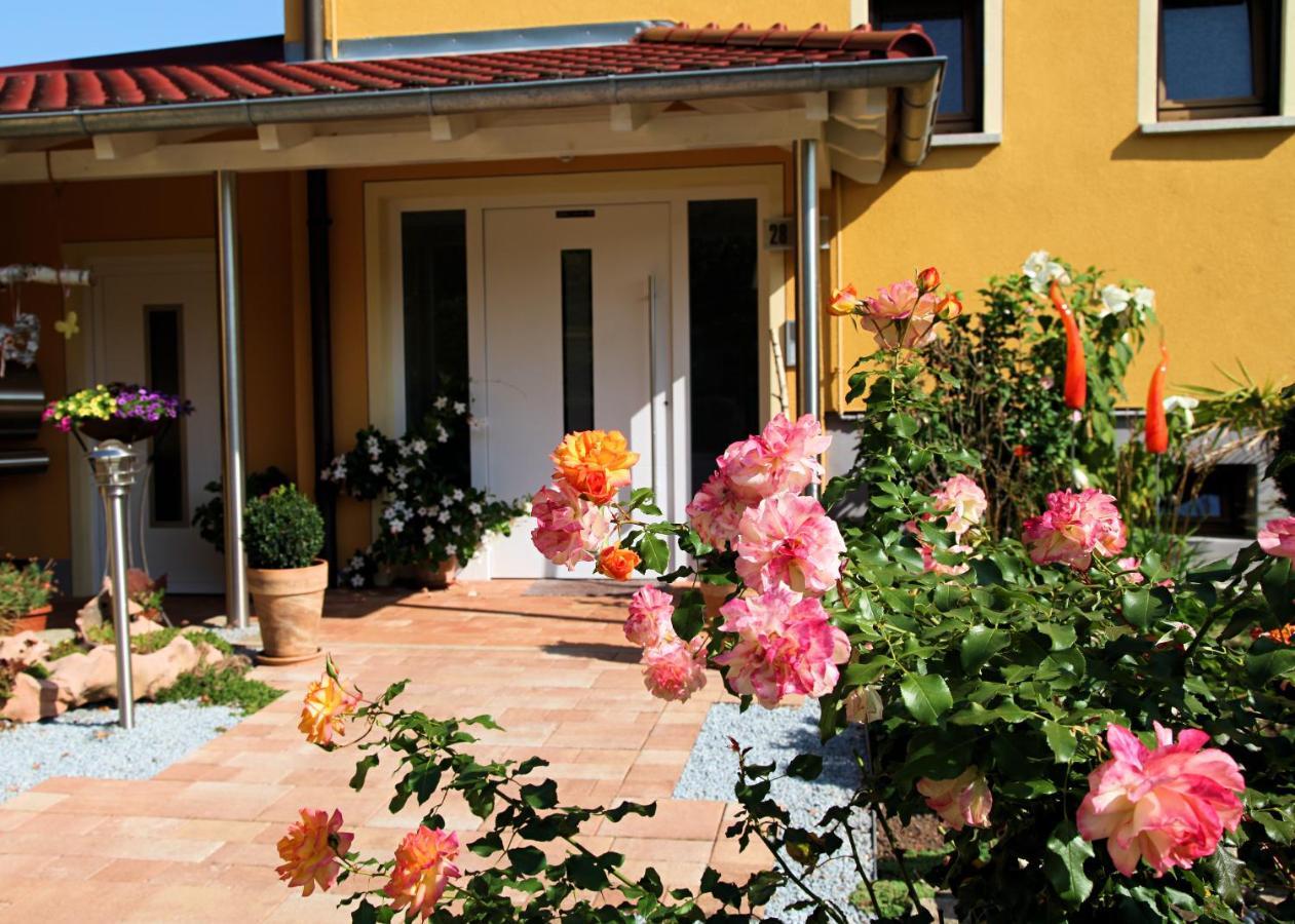 Schmetterling Apartment *